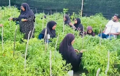 ދަނޑުވެރިކަމަށް ޗައިނާއިން ދިން އެހީ؛ އަތޮޅު، އަދި ސިޓީކައުންސިލްތަކަށް!