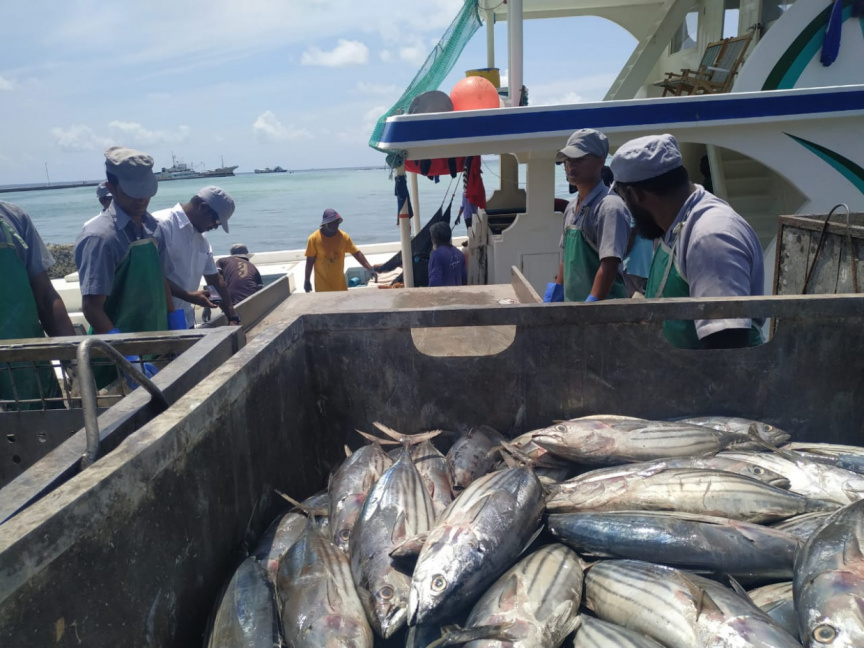 30 ދޯންޏަކަށް 5.3 މިލިއަން ރުފިޔާ
