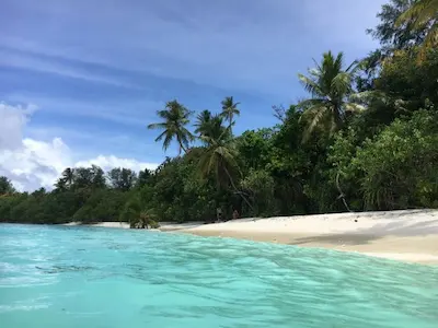 އަރިޔަދޫ؛ އެގްރިކަލްޗަރ މިނިސްޓްރީއަށް ނަގައި ރުއް އާލާކުރާ ސެންޓަރެއް ގާއިމު ކުރަނީ