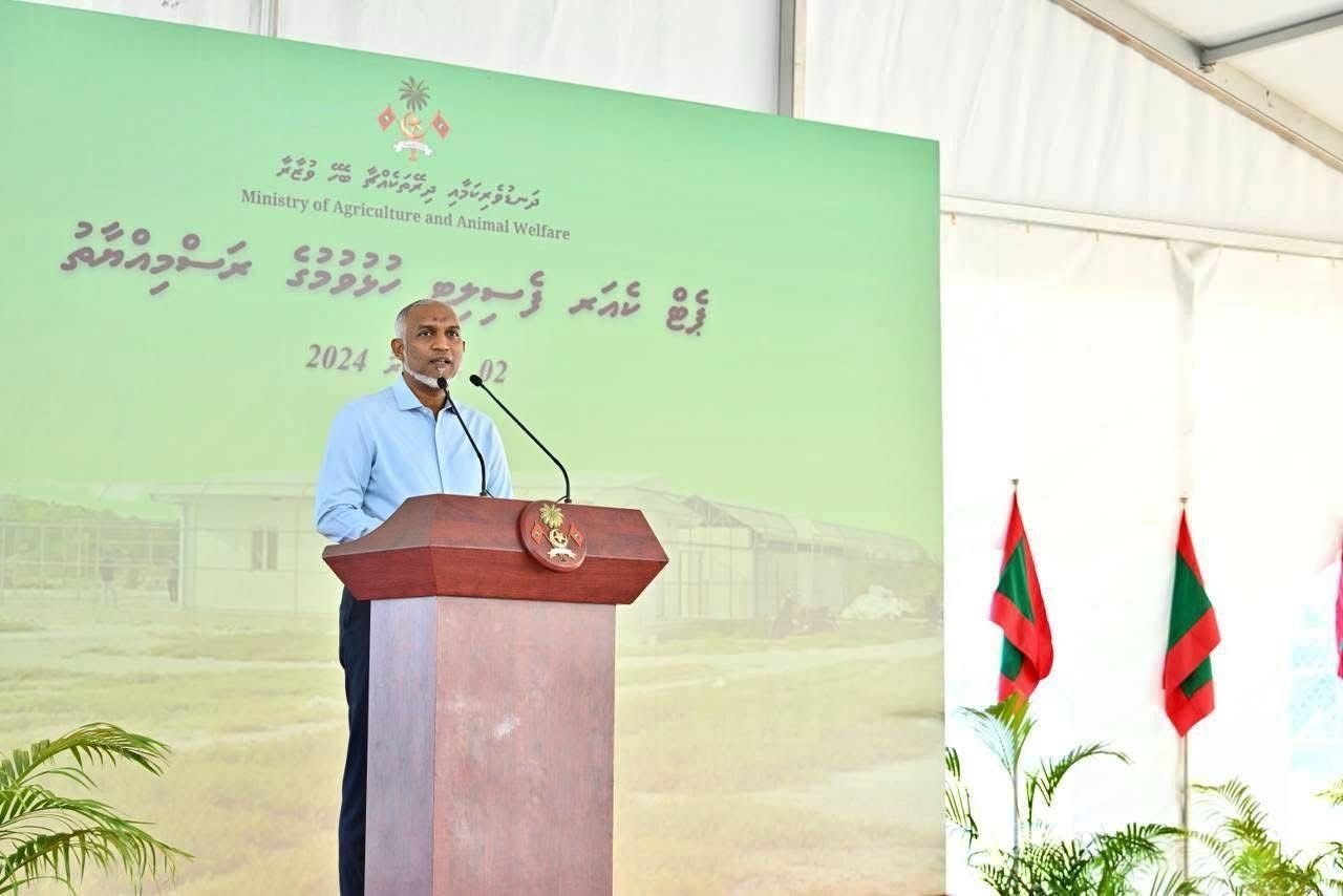 މަގުމަތީގައި އުޅޭ ބުޅާތަކަށް ހާއްސަ ފެސިލިޓީ ‘އޮޅު ހިޔާ’، ސަރުކާރާ ހަވާލުކޮށްފި
