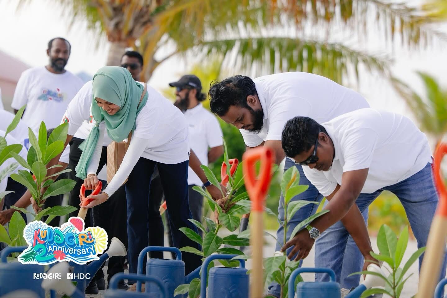 ކުޑަގިރި ޕިކްނިކް އައިލެންޑަށް 2 އަހަރު: ހިޔާލިބޭ ގަސް އިންދުމުގެ ހަރަކާތެއް ކުރިއަށް ގެންގޮސްފި