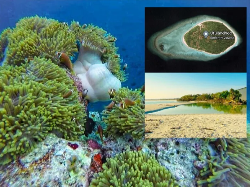 ރައީސް ވައުދުވެ ވަޑައިގެންނެވި ގޮތަށް، މަޑުއްވަރީއަށް އުފުލަންދޫ، މީދޫއަށް ތާވަތާ!