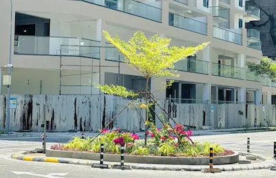 ހުޅުމާލޭގެ ރައުންޑް އެބައުޓްސްތަކުގައި ގަސް އިންދަން ފަށައިފި