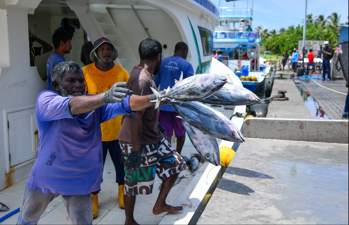 މިމަހު 13 ވަނަ ދުވަހު ކިރާފައިވާ މަހަށްވާ 5.8 މިލިއަން ރުފިޔާ، މިފްކޯއިން މަސްވެރިންނަށް ދީފި