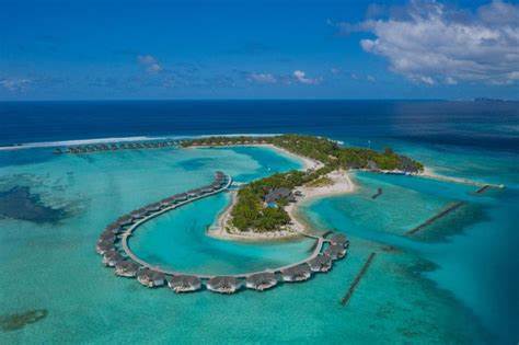 ފަތުރުވެރިއަކު ގެއްލިގެން ހޯދަނީ