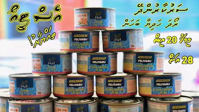 ސަރުކާރުން މިރޯދަމަހަށްދޭ ހަދިޔާ ބެހުމަށް އެސްޓީއޯ ތައްޔާރު، މަސްދަޅު ބަހަން ފަށާނީ މިމަހު ވިހީގައި!