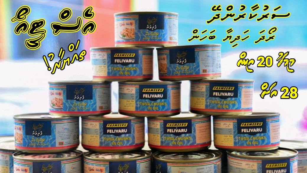 ސަރުކާރުން މިރޯދަމަހަށްދޭ ހަދިޔާ ބެހުމަށް އެސްޓީއޯ ތައްޔާރު، މަސްދަޅު ބަހަން ފަށާނީ މިމަހު ވިހީގައި!