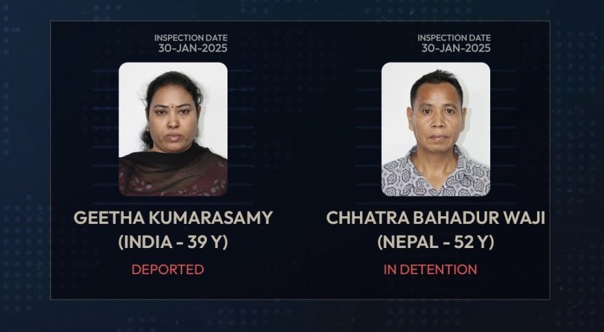 ހަށިވިއްކުމުގެ ވިޔަފާރީގައި އުޅުނު ދެ ބިދޭސީއަކު އިމިގްރޭޝަނުން އަތުލައިފި