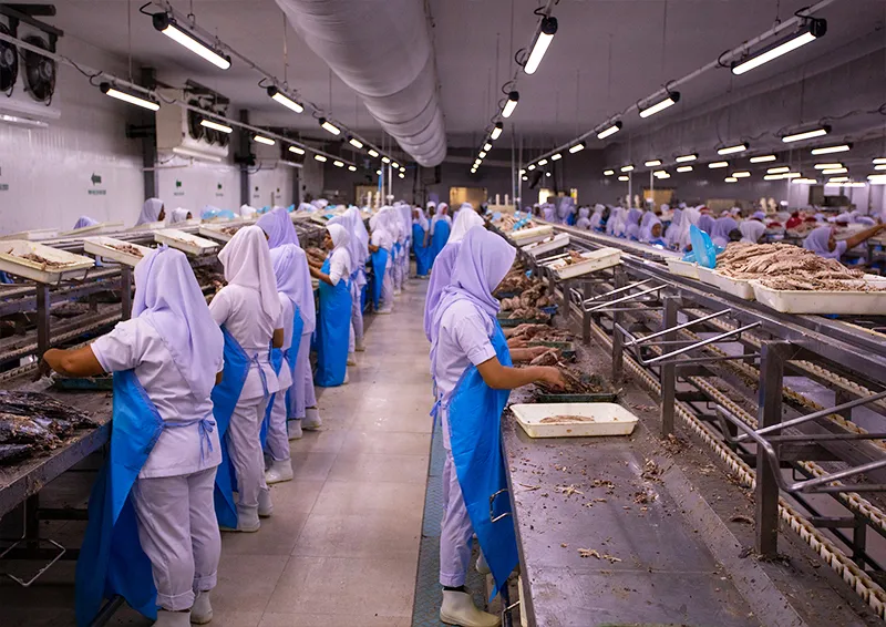މަހުގެ އާ ބާވާތްތައް ބާޒާރަށް ނެރުމަށް ވޯލްޑް ބޭންކުން 8.3 މިލިއަން ޑޮލަރުގެ އެހީއެއް!