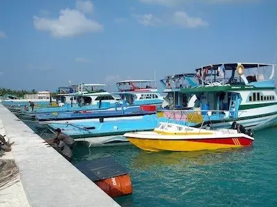 ހިރިލަންދޫގައި ކޯލްޑް ސްޓޯރޭޖެއް ގާއިމްކުރަނީ