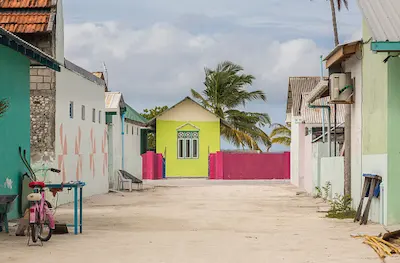 ފުލުހަކަށް ހަމަލަދިން ކުއްޖަކު ކޮންޓްރޯލު ކުރުމުގައި ކަންތައް ހިނގި ގޮތް ބަލަނީ