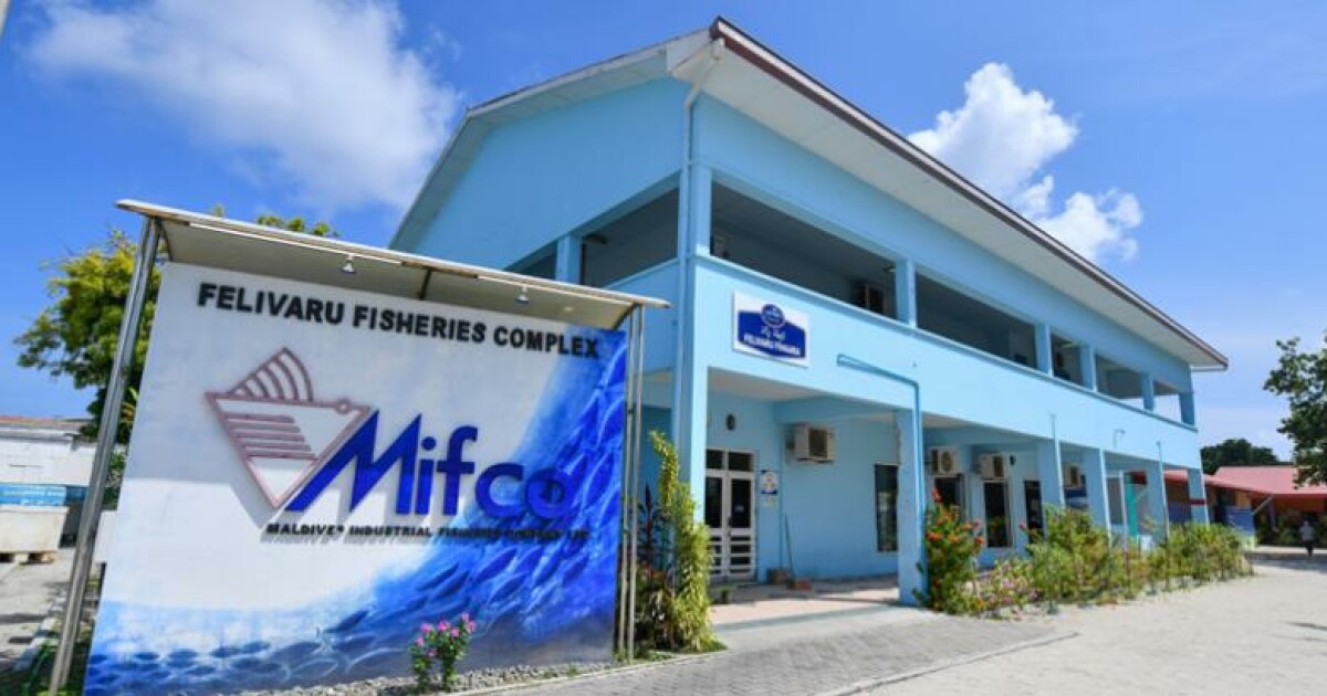 މިފްކޯއިން މަސްވެރިންނަށް 5.3 މިލިއަން ރުފިޔާ ދޫކޮށްފި
