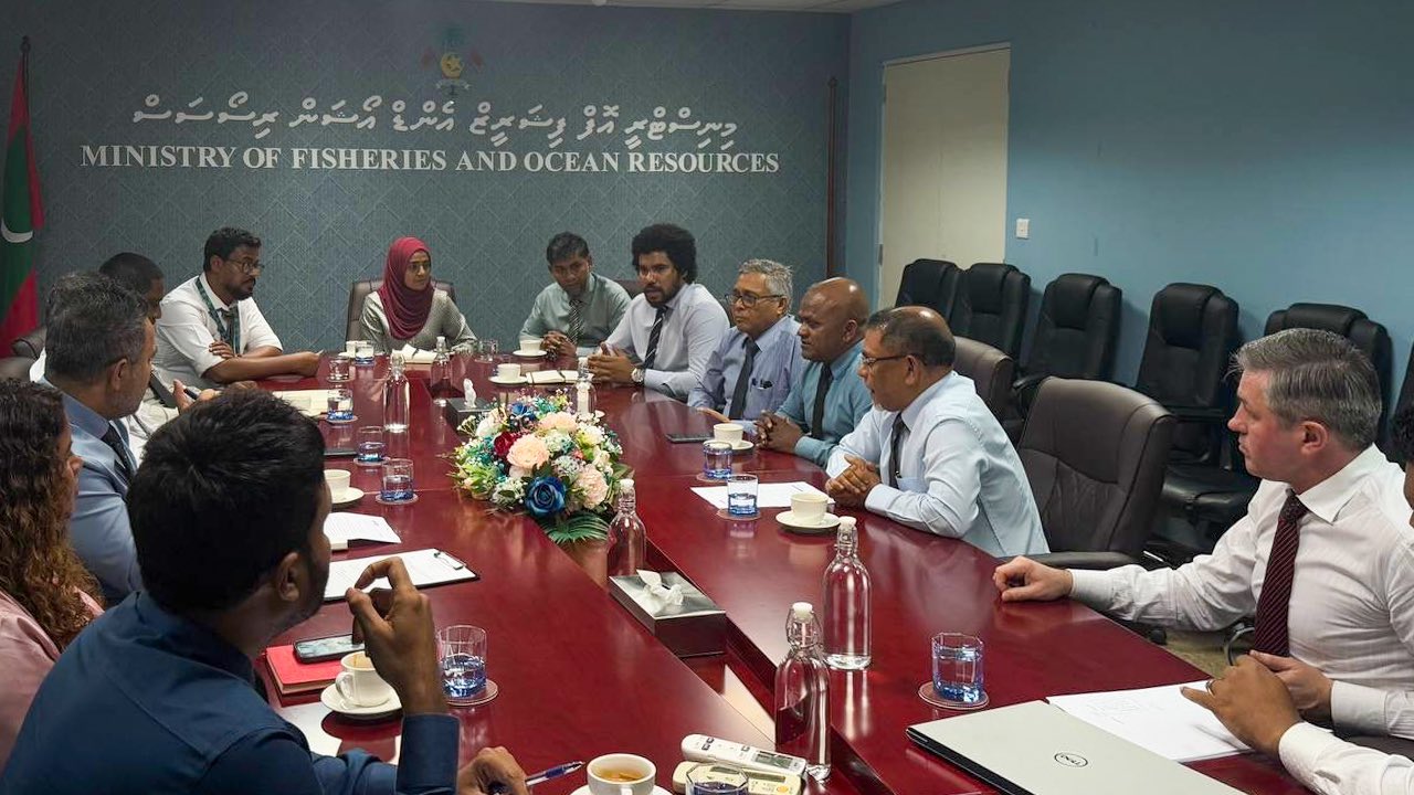 މަސް އެކްސްޕޯޓު ކުރުމުގައި ދިމާވާ ގޮންޖެހުންތައް ހައްލުކުރުމު މަސްވެރިކަމާ ބެހޭ ވުޒާރާގައި މިފްކޯ، އެމްޕީއެލް އަދި އެމްއެސްއެސްގެ އިސްވެރިންގެ ބައްދަލުވުމެއް!