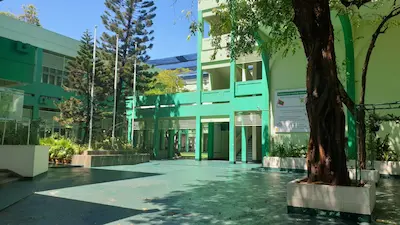 ހާއްސަ އެހީއަށް ބޭނުންވާ ދަރިވަރަށް އަނިޔާކުރި ބިދޭސީ ޓީޗަރު ދޫކޮށްލައިފި