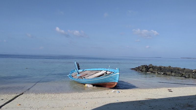 އިމިގްރޭޝަނަށް ފިލަން މަޑުއްވަރީއަށް ދިޔަ ބިދޭސީ މަސައްކަތްތެރިންތައް އަނބުރާ ރިސޯޓަށް ފޮނުވާލައިފި
