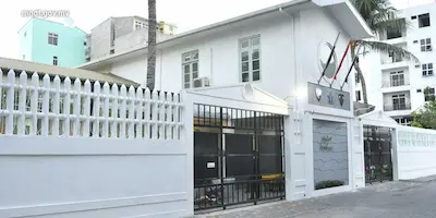 ސެނެހިޔާ ކައިރިން ޒަހަމްވެފައިވާ ދިވެއްސަކު ފެނިގެން ހޮސްޕިޓަލަށް ގެންގޮސް ފަރުވާދެނީ