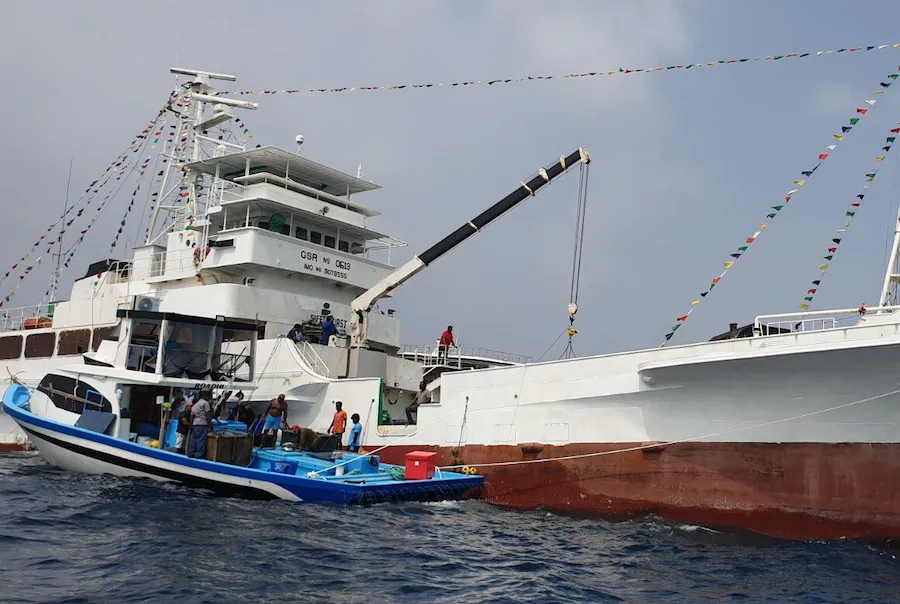 މަސްވެރިންނަށް 48ގަޑިއިރު ތެރޭ ފައިސާ ދޭން ފެށިތާ އެއްމަސް: 4،540ޓަނުގެ މަހަށް 52 މިލިޔަން ރުފިޔާ ދޫކޮށްފި