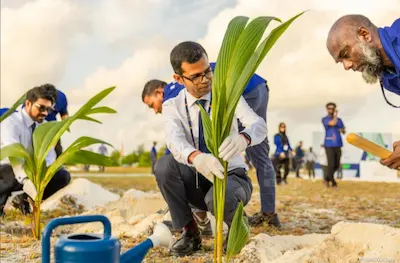 5 މިލިއަން ގަސް އިންދުމުގެ ޕްރޮގްރާމުގެ ދަށުން ސްޓެލްކޯ އިން މިހާތަނަށް 50،000 ގަސް އިންދައިފި
