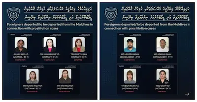 ފުޅާ ދާއިރާއެއްގައި ހަށިވިއްކުމުގެ ވިޔަފާރި ކުރަމުން ދިޔަ ބިދޭސީންތަކެއް ޑީޕޯޓު ކޮށްލައިފި