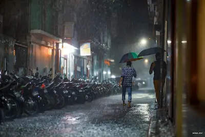 ރާއްޖޭގެ ބޮޑު ބަޔަކަށް ރީނދޫ ސަމާލު ނެރެފި