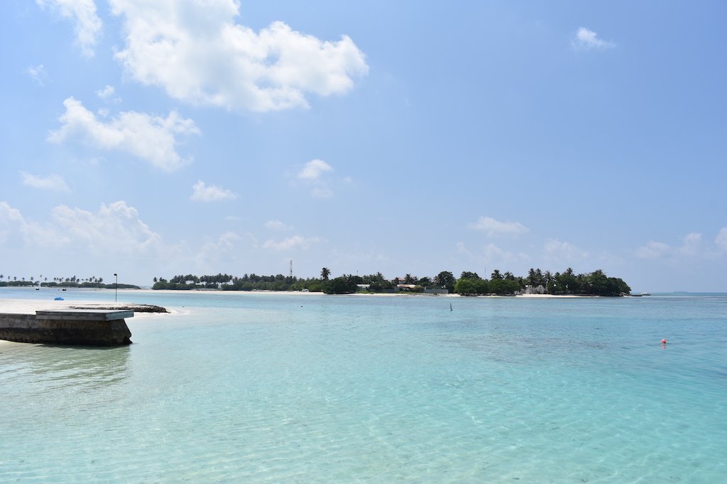 ހަތަރު މަހުގެ ތުއްތު ކުއްޖެއް ނިޔާވެފައި އޮއްވާ ފެނިއްޖެ، ޝައްކުތަކެއް ހުރުމުން ހަށިގަނޑު ރާއްޖެއިން ބޭރަށް ފޮނުވަނީ!