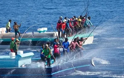 މުއްސަނދި ކަނޑުގެ ވަސީލަތްތައް ދެމެހެއްޓުމުގައި މަސްވެރިންގެ އަގުނުކުރެވޭ ވަރުގެ އެހީތެރިކަން ފާހަގަކުރަން: މިފްކޯ