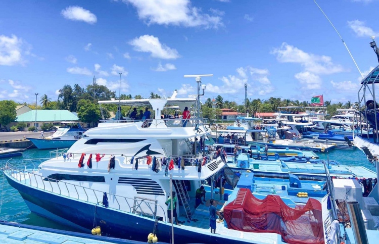 މަސްވެރިކަމުގެ ދާއިރާއިން ރާއްޖެއިން ބޭރުން މަތީ ތައުލީމު ހޯދުމުގެ ފުރުސަތު ހުޅުވާލައިފި