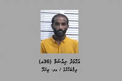 އިމިގްރޭޝަންގެ ގުދަނަކުން ވައްކަންކުރި ދިވެއްސަކު ހައްޔަރުކޮށްފި