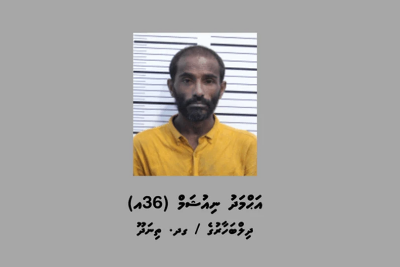 އިމިގްރޭޝަންގެ ގުދަނަކުން ވައްކަންކުރި ދިވެއްސަކު ހައްޔަރުކޮށްފި