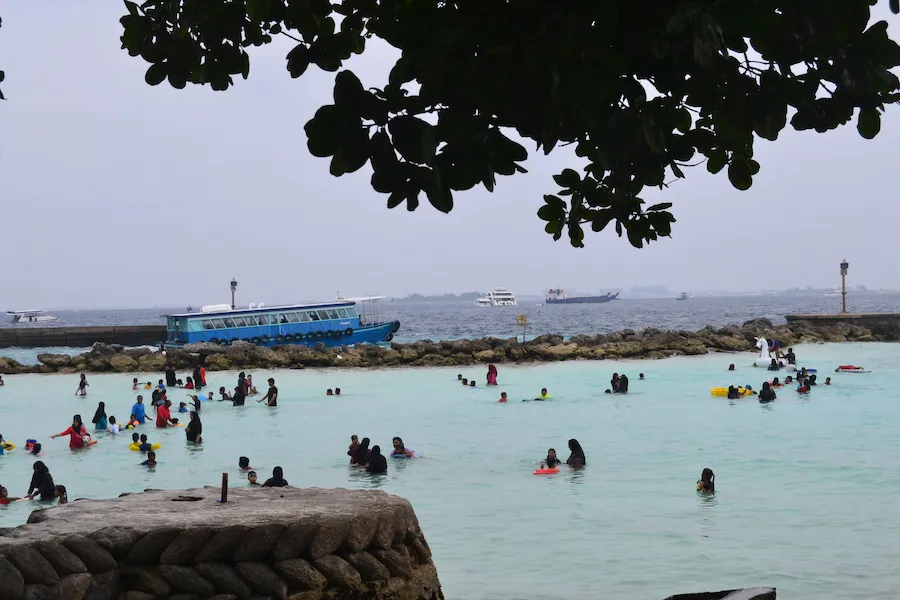 ރާއްޖޭގެ ވައި ނުސާފުވުމާ ގުޅިގެން ސަމާލުވުމަށް އިލްތިމާސްކޮށްފި