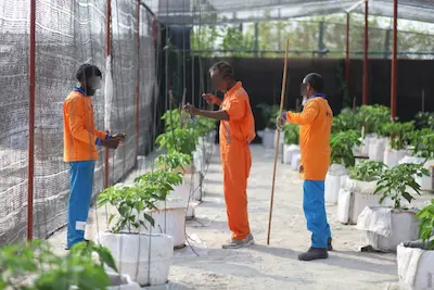 ހިންމަފުށީގައި ހުންނަ އައްސޭރި ޖަލުގެ ބައެއް، ރިމާންޑް ޖަލެއްގެ ގޮތުގައި ކަނޑައަޅައިފި