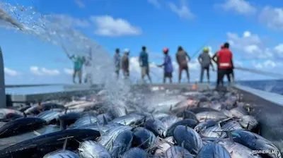 ފާއިތުވި ހަތް ދުވަހުގެ ތެރޭ، މަސްވެރިންނަށް 21 މިލިއަން ރުފިޔާ ދޫކޮށްފި