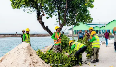ބޮޑުތަކުރުފާނު މަގު ތަރައްގީކުރުމުގެ މަސައްކަތަށް ނަގާ ގަސްތައް ހުޅުމާލޭގައި އިންދަން ފަށައިފި