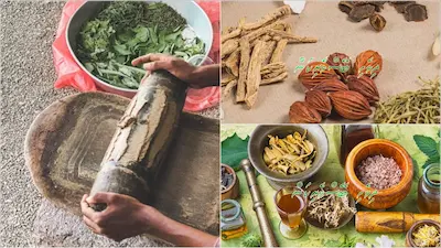 ޤައުމީ ސަޤާފީ ބޭސްވެރިކަމުގެ ކޮމިޓީއެއް އެކުލަވާލަނީ