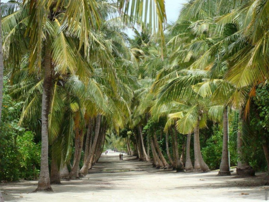 ހުޅުދުއްފާރުގައި، ވަޅިން ބިރުދައްކައިގެން ޕޮލިސް ޕޯސްޓަށް ގެއްލުންދީ، ރަށުން ކަރަންޓު ކަނޑާލި މީހަކު ހައްޔަރަށް
