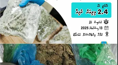 ރާއްޖެ އެތެރެކުރަން އުޅުނު 2.4 މިލިޔަން ރުފިޔާގެ މަސްތުވާތަކެތި ކަސްޓަމްސްއިން އަތުލައިގެންފި