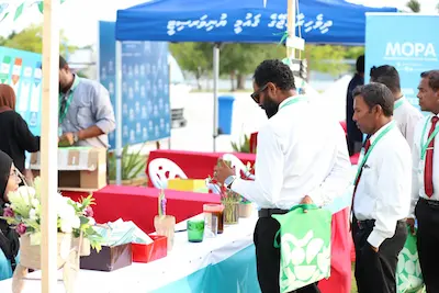 މަގޭ ސާފު ރާއްޖެ މަހާސިންތާ ނިންމާލައިފި