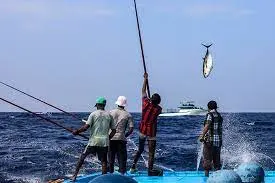 ބީއެމްއެލް މެދުވެރިކޮށް 49 މަސްވެރިއަކަށް ލޯނު ދޫކޮށްފި