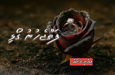 ވާހަކަ: ފަތް ޖެހުނު ގޯޅި