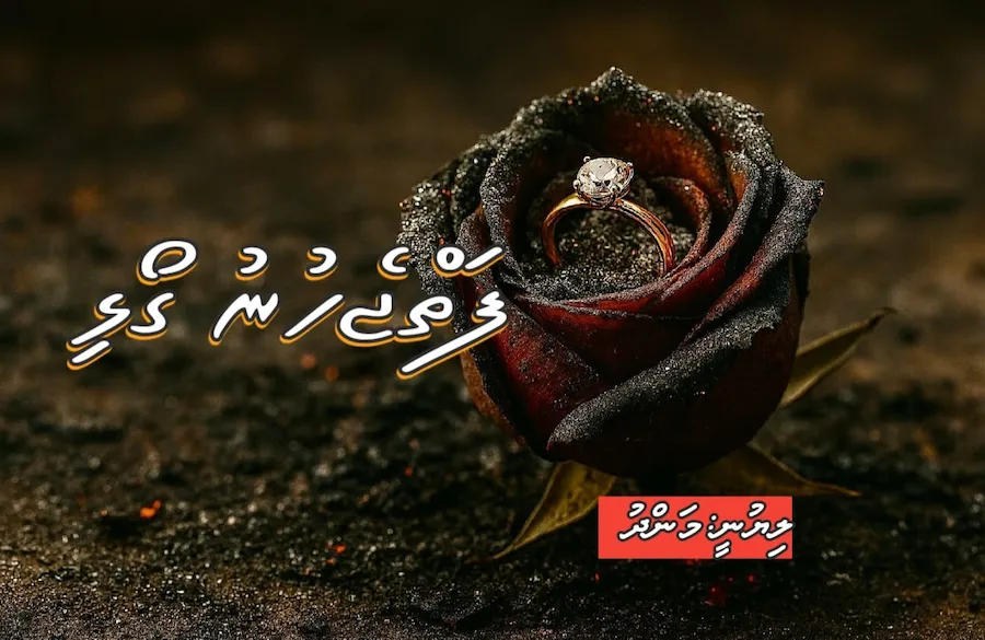 ވާހަކަ: ފަތް ޖެހުނު ގޯޅި