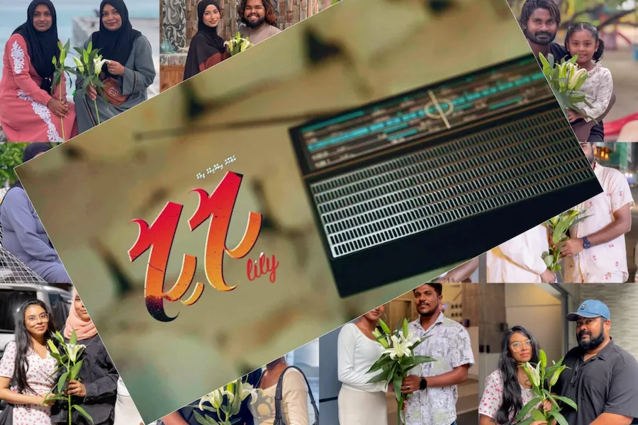 2.3 މިލިއަން މީހުންގެ ސަމާލުކަން ހޯދި ލިލީ ގެ ހަގީގަތް މިއޮތީ، މިފަހަރު މަލެއްނޫން، އެކަމަކު މުޅި ހިންނަވަރަށް މަޝްހޫރު ލިލީ!