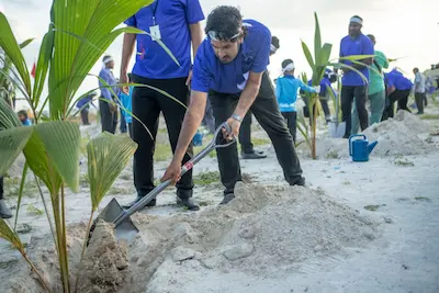 ސްޓެލްކޯ އިން 74،000 އަށްވުރެ ގިނަ ގަސް އިންދައިފި