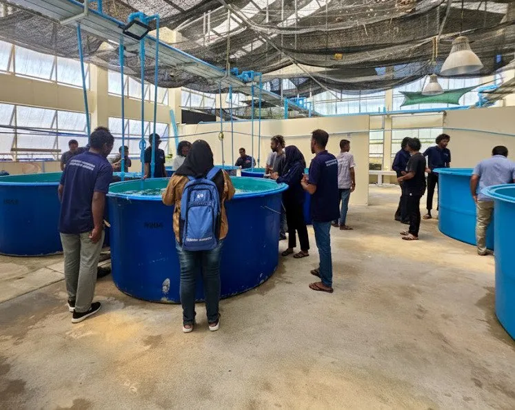 ފާނަ އާލާކުރުމުގެ ޕްރޮގުރާމް: 15 ބައިވެރިންނާއެކު މަނިޔަފުށީގައި, ޕްރޮގްރާމު ކުރިއަށް ދާނީ މިމަހުގެ 30ގެ ނިޔަލަށް