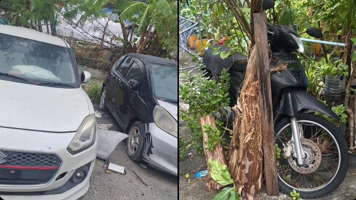 ހުޅުމާލޭގެ މަގުތަކުގައި ހަލާކުވެފައިވާ 700 އަށްވުރެ ގިނަ އުޅަނދު
