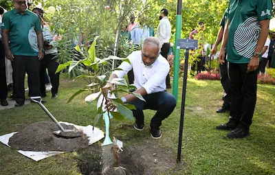 ރާއްޖޭގަ ޤައުމަށް ފުދޭވަރަށް، ކާނާގެ ޔަޤީންކަން ޤާއިމު ކުރެވޭ ވަރަށް، ދަނޑުވެރިކަން ފުޅާކުރުމަކީ އުއްމީދެއް: ރައީސް