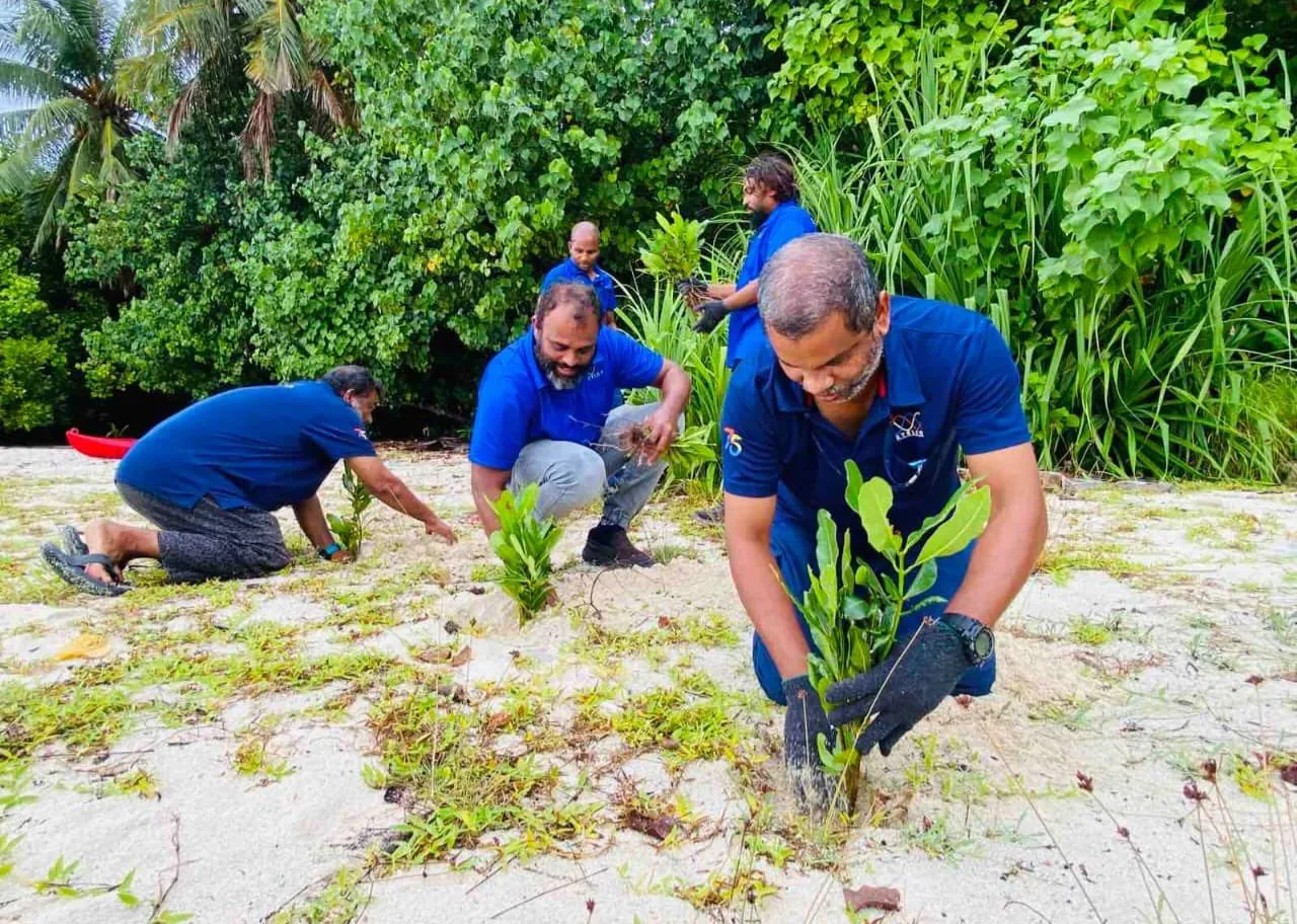 ފަސް މިލިޔަން ގަސް އިންދުމުގެ ޕްރޮގުރާމްގެ ދަށުން މިހާތަނަށް 8 ލައްކައަށްވުރެ ގިނަ ގަސް އިންދައިފި