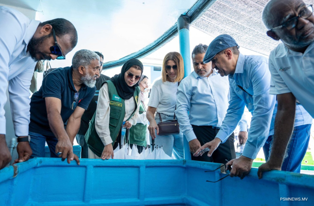 އާރްއެސްޑަބްލިޔު ސިސްޓަމް ގާއިމު ކުރުން: 79 ދޯންޏަކުން އެދިފައިވޭ، 40އަށްވުރެ ގިނަ ދޯންޏަށް ލޯނު ދޫކުރަނީ