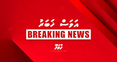 ސުމޫދު ފްލޮޓިއްލާގެ އެންމެ ބޯޓެއް ފިޔަވައި އެހެން ހުރިހާ ބޯޓެއް ހިފަހައްޓައި، ތިބި މީހުން ހައްޔަރުކޮށްފިން: އިސްރާއީލު ޚާރިޖީ ވުޒާރާ