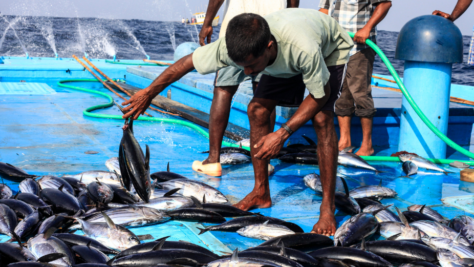 ކެޔޮޅުންގެ އެވޯޑާއި ޚިދުމަތްތެރި ފަރުމަސްވެރިޔާގެ އެވޯޑަށް ކުރިމަތިލުމުގެ ފުރުޞަތު ހުޅުވާލައިފި
