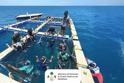 މެރިން ހެޗަރީ ސްކިލްސް ޑިވެލޮޕްމަންޓް ޕްރޮގްރާމްގައި ބައިވެރިވުމުގެ ފުރުސަތު